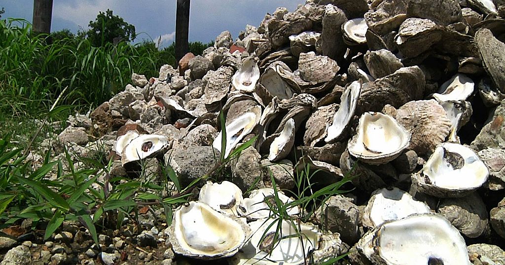 Morocco's Famous Oyster Capital Bursts with a Unique Flavour