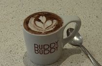 Buddy Buddy - Erfolg trotz Covid