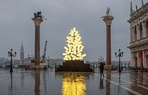 Weihnachtsbaum in Venedig