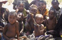 Üç yıldır kuraklık yaşayan Madagaskar'da halk yiyecek bulmakta zorlanıyor