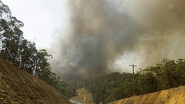 شاهد: أستراليا لا تزال تكافح الحرائق في جزيرة فرايزر بعد 7 أسابيع على اندلاعها