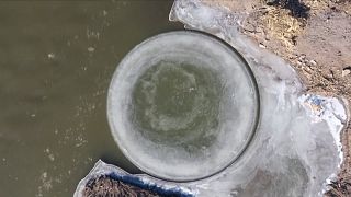 شاهد: دفق المياه يشكّل قرصاً هندسياً متكاملاً من الجليد في نهر صيني
