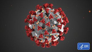Illustration du nouveau coronavirus fournie en janvier 2020 par les centres de contrôle et prévention des maladies (CDC).
