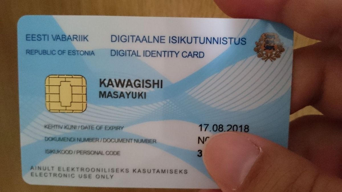 ویزای الکترونیکی صادره توسط دولت استونی