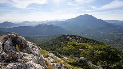 Andalusia landscape Andalusia landscape