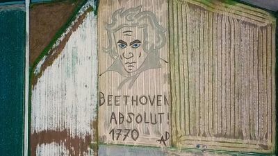 Beethoven auf dem Acker und "Show Fenster" in Berlin