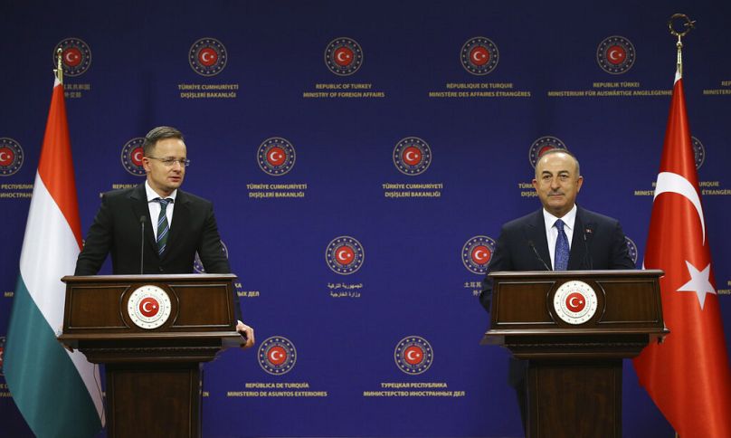 AP/Turkish Foreign Ministry