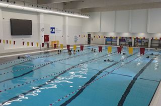 Brussels' most sustainable pool is going down swimmingly