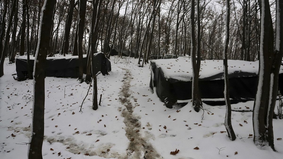 Improvised tents at a makeshift camp in a forest outside Velika Kladusa, Bosnia and Herzegovina.