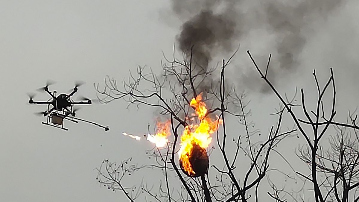 طائرة تقذف اللهب لحرق عش دبابير في مقاطعة زهونغ الصينية.