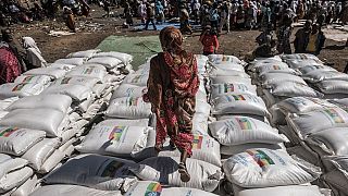 Ethiopie : un premier convoi d'aide internationale entre dans Mekele