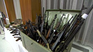Le armi sequestrate dalla polizia austriaca