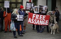WikiLeaks' Julian Assange struggling in 'atrocious' British prison conditions, says partner
