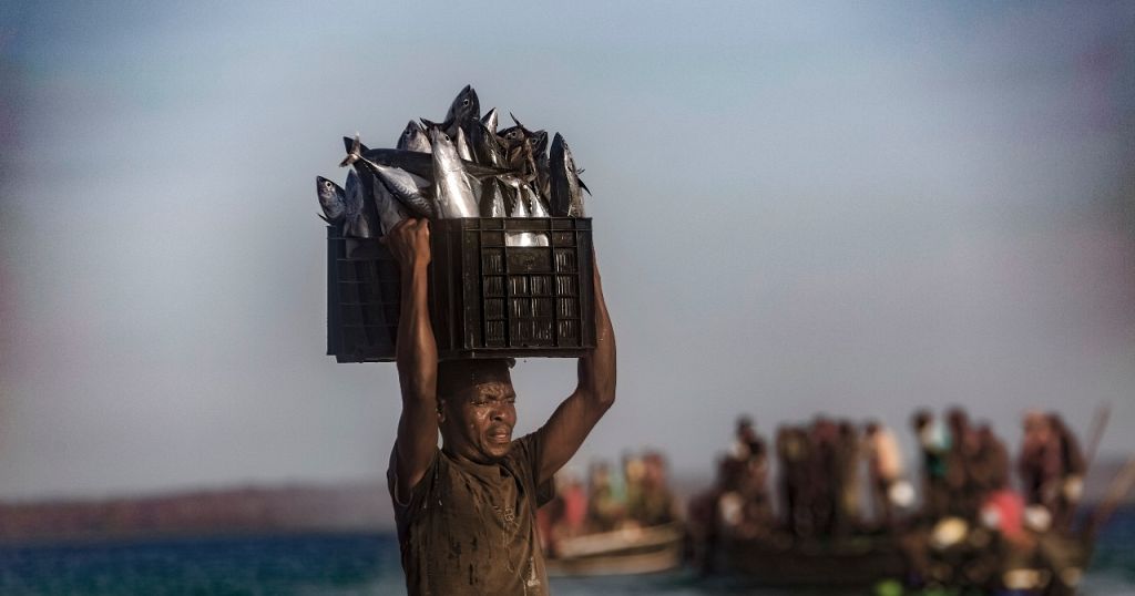 Mozambique: Thousands of refugees flee to Pemba amid extremist threat