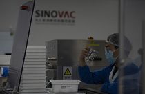 Çinli Sinovac ilaç firmasına ait bir fabrikada görevli şahıs, üretilen şırıngaları incelerken