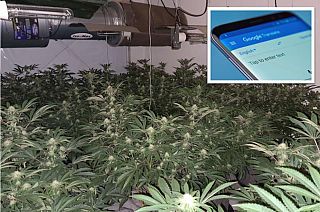 Police eventually discovered a cannabis farm in a village in North East England
