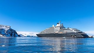 Cruise lines are beginning to blend luxury with authentic travel. Antarctic expedition, Scenic.