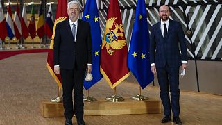 European Council President Charles Michel, right, and Montenegro Prime Minister Zdravko Krivokapic pose for photographers before their meeting at the European Council headquar