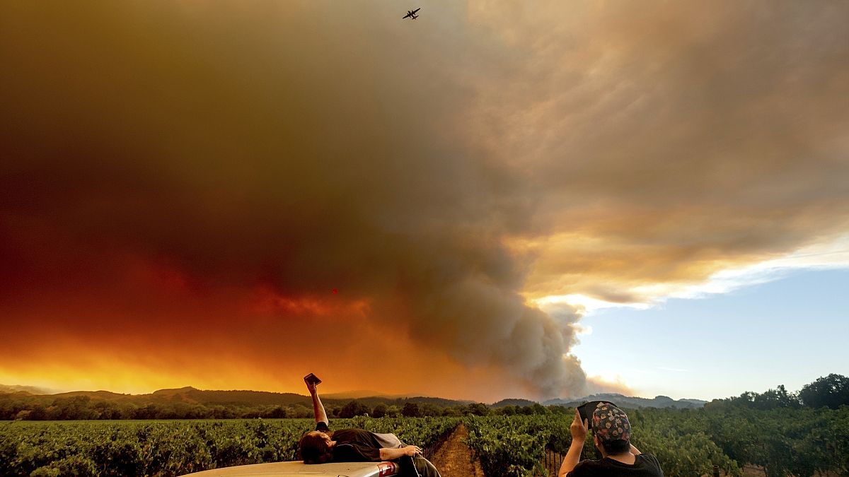Des gens regardent un panache de fumée se répandre sur Healdsburg, en Californie, alors que des feux de forêt brûlent à proximité, le 20 août 2020.