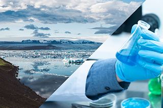 How to become a citizen scientist and help save the planet