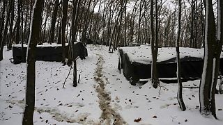 Improvised tents at a makeshift camp in a forest outside Velika Kladusa, Bosnia, Thursday, Dec. 3. 2020