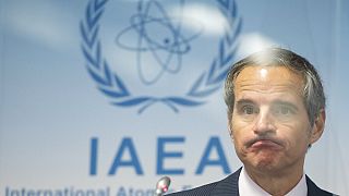 Uluslararası Atom Enerjisi Ajansı Başkanı Rafael Mariano Grossi