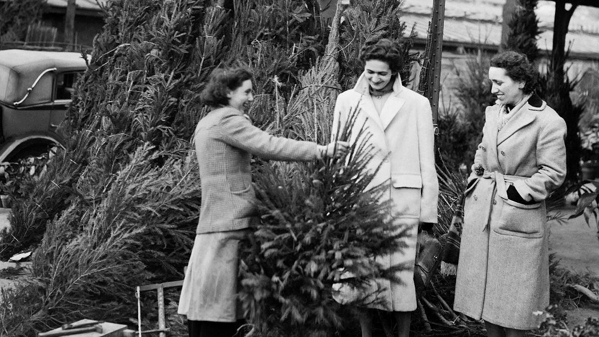 Unas mujeres compran un árbol de Navidad en París, Francia, el 14 de diciembre de 1951.