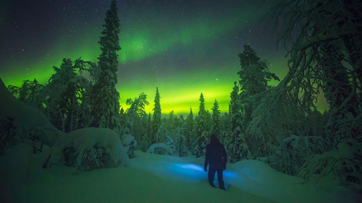 Snow castles and swimming with orcas The best things to do in Lapland