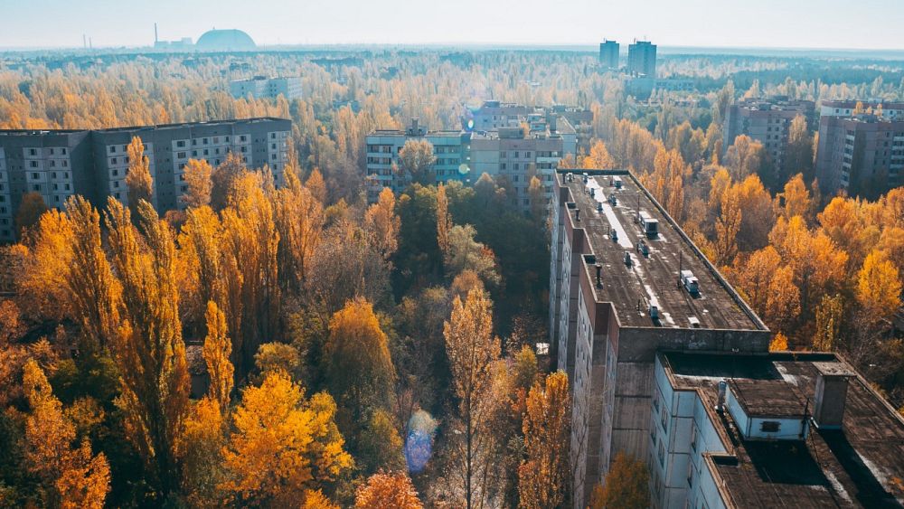 Short Term Environmental Impacts Of Chernobyl