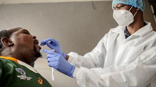 Une nouvelle souche de coronavirus en Afrique du Sud