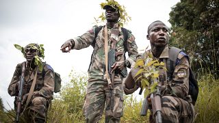 CAR: UN Deploys Peacekeepers to Thwart Election Disruption Attempts