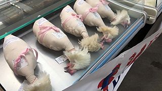 Les volailles AOP en vente à Bourg-en-Bresse