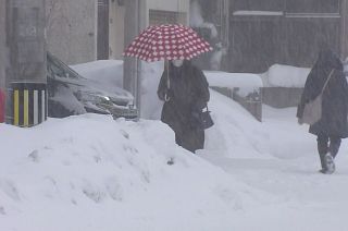 All News About Snow Storm Euronews