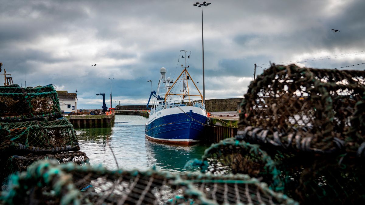 Futuro continua incerto para o setor das pescas em águas britânicas