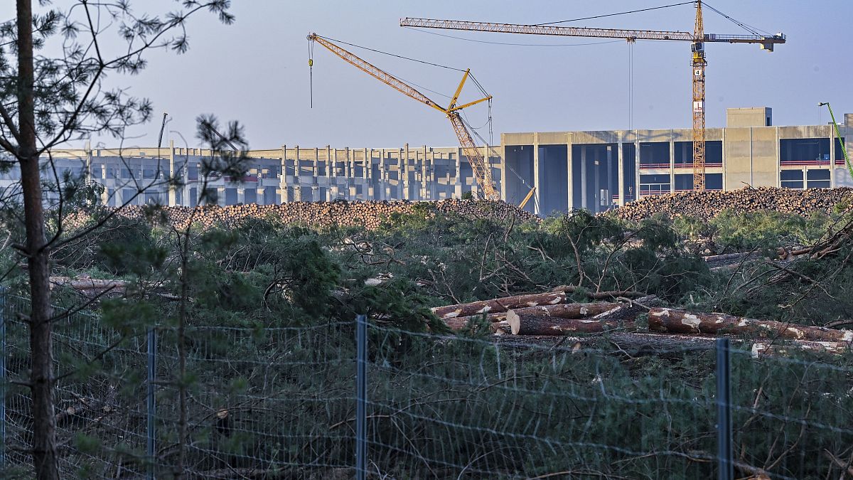 FILE - In this Dec. 8, 2020 file photo, felled trees lie on the construction site of the Tesla Gigafactory in Gruenheide near Berlin, Germany. 
