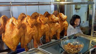 مطعم في سنغافورة يبدأ بتقديم لحم دجاج مصنع مخبرياً