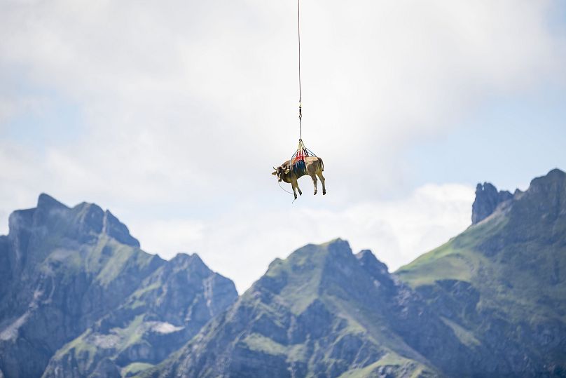 Urs Flueeler/AP Photo