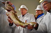 Boris Johnson e as pescas