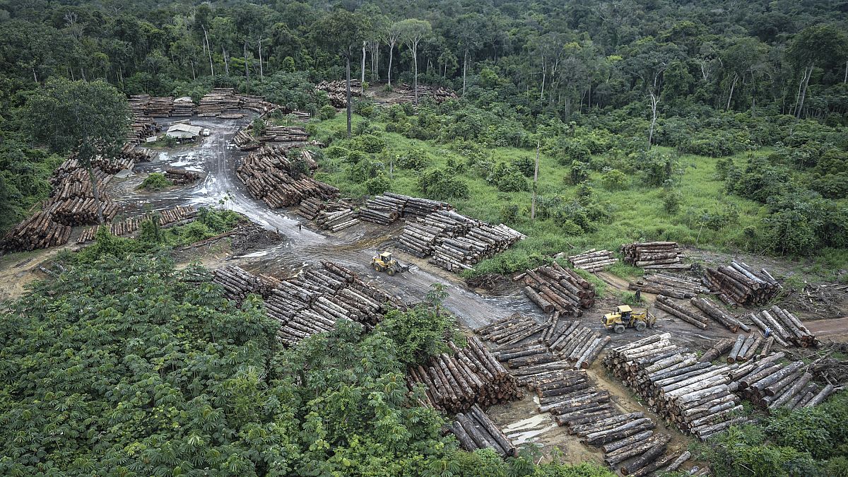 FILE: May 8, 2018 Illegally deforested area on Pirititi indigenous lands (Brazilian Environmental and Renewable Natural Resources Institute)