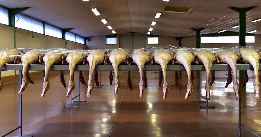 Du foie gras "made in Madagascar"