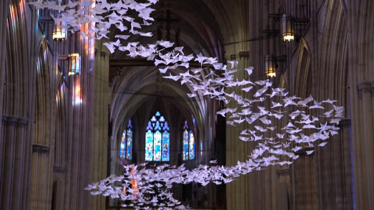 Les colombes de l'espoir dans la cathédrale de Washington, fermée en raison de la pandémie