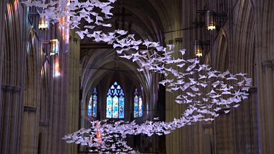 Les colombes de l'espoir dans la cathédrale de Washington, fermée en raison de la pandémie