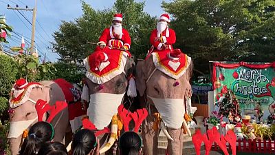 Thaïlande : des éléphants et leurs dresseurs déguisés pour Noël