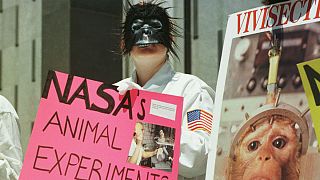 اعتراض یک مدافع حقوق حیوانات به استفاده از حیوانات در تحقیقات فضایی ناسا