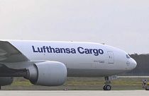 Lufthansa transporta alimentos frescos para o Reino Unido
