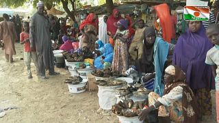 In Niger's Diffa, people are pressed by insecurity and climate change