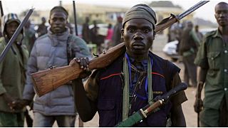 جهاديون من بوكو حرام يخطفون عشرات من قاطعي الأشجار في نيجيريا ويقتلون ثلاثة