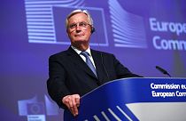 European Commission's Head of Task Force for Relations with the United Kingdom Michel Barnier
