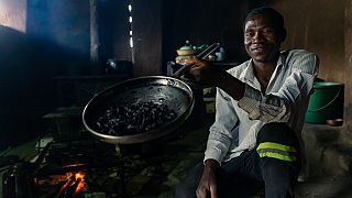 Crave for fried beetles grows in Zimbabwe's countryside