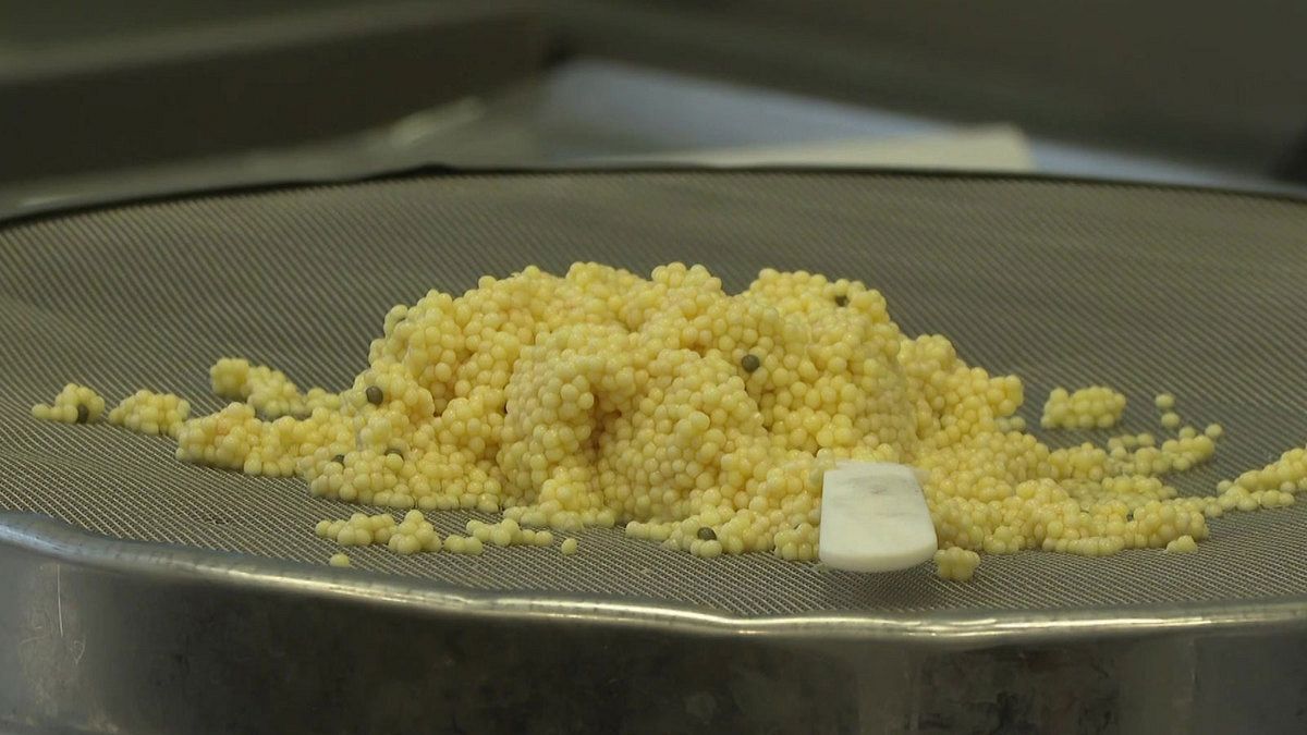 White caviar "Made in Austria" sells for more than 1,300 euros per 100 grams